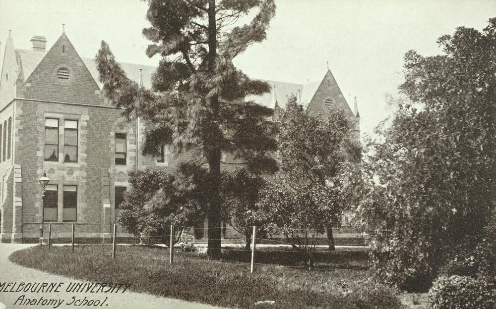 Anatomy school, University of Melbourne, circa 1910.