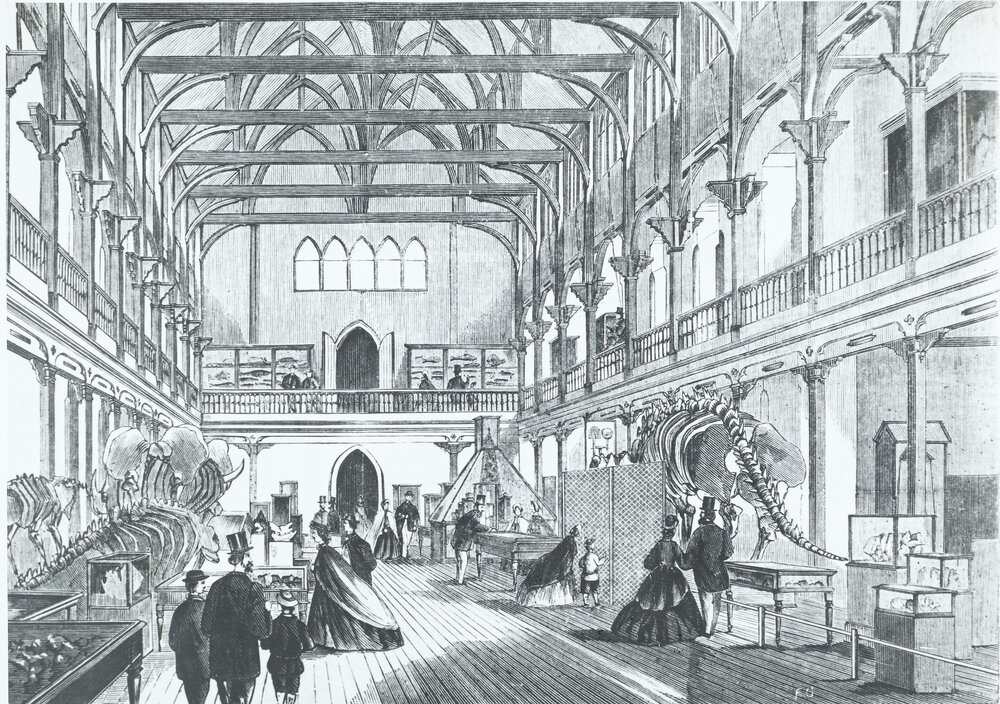 Interior of National Museum, University of Melbourne.