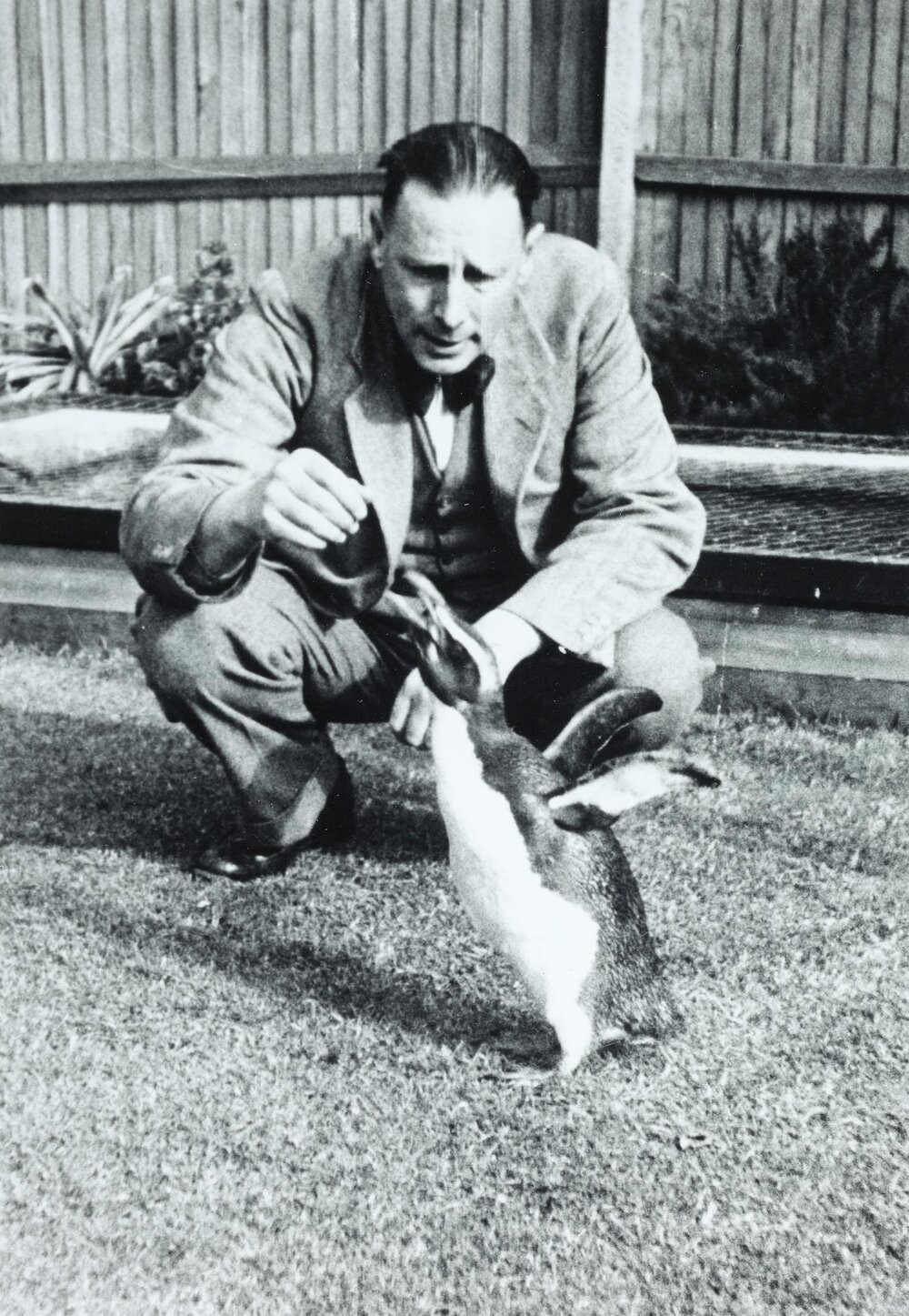 Professor Frederic Wood Jones with penguin, University of Melbourne, circa 1934.