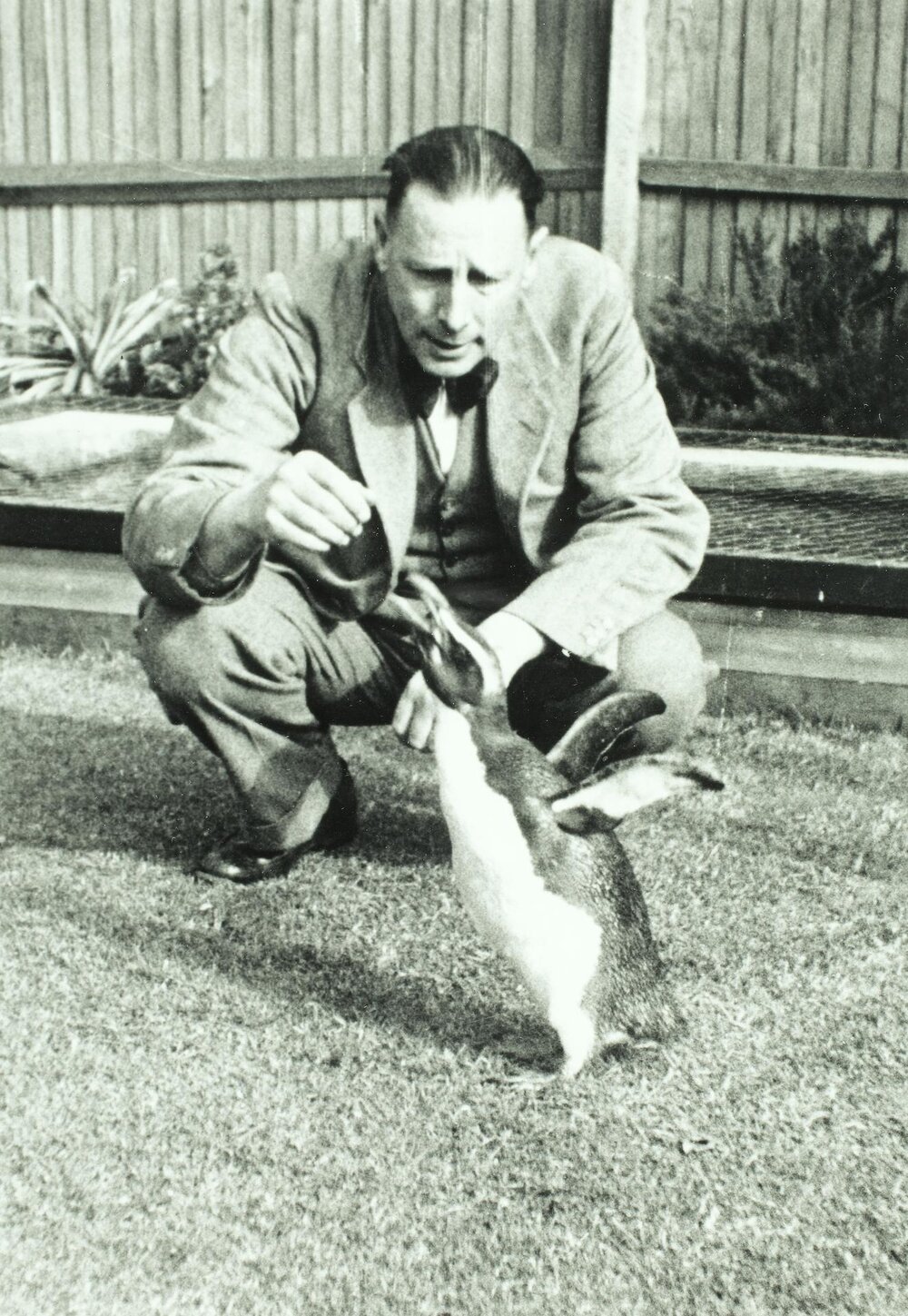 Professor Frederic Wood Jones with penguin, University of Melbourne, circa 1934.