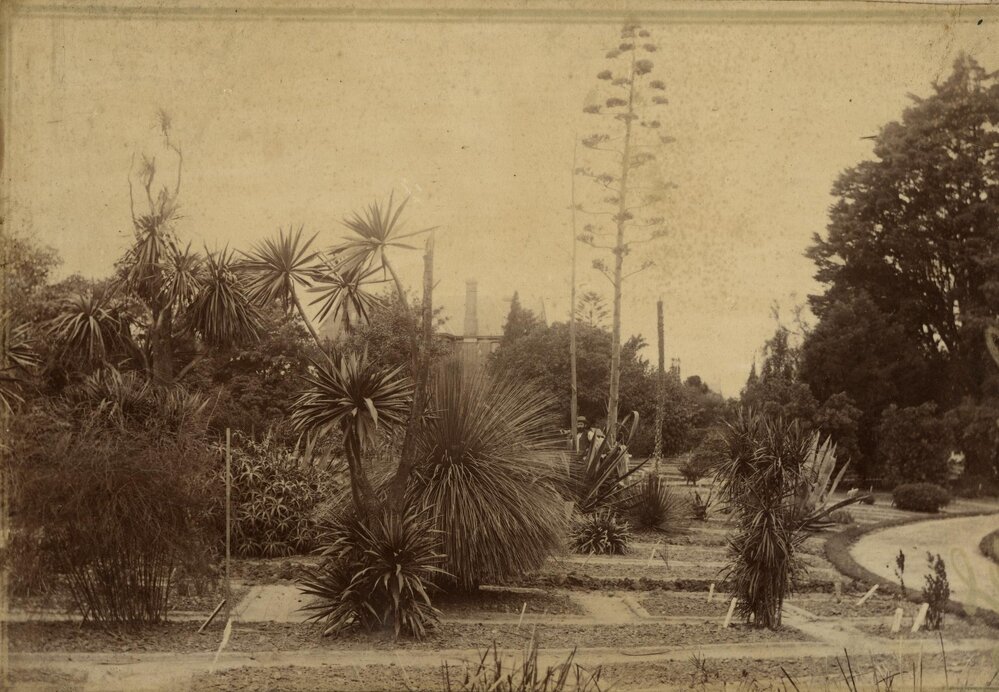 System Garden, University of Melbourne.