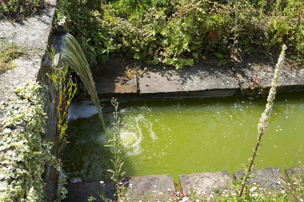 [Garden and  water feature]