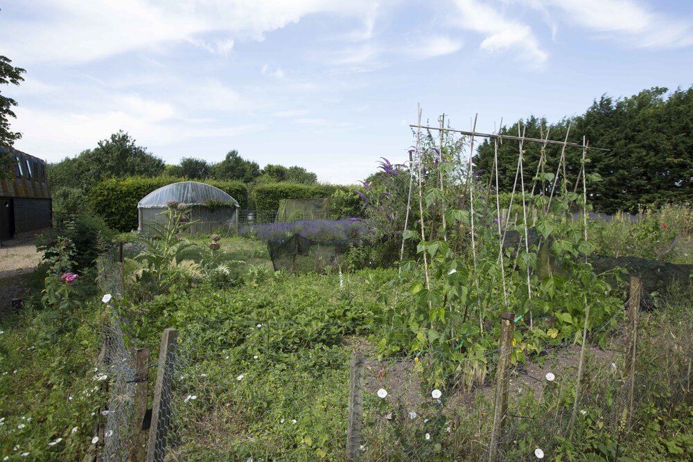 [Garden]