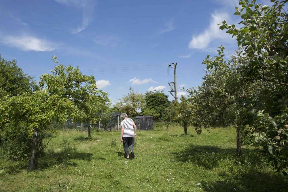 [Greer in orchard]