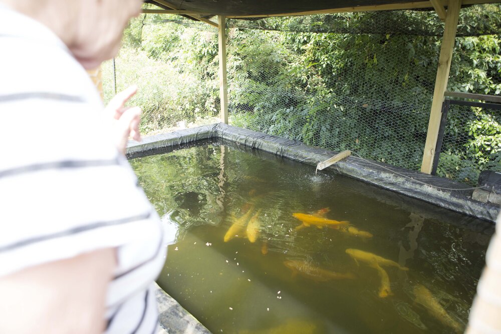 [Greer with goldfish]