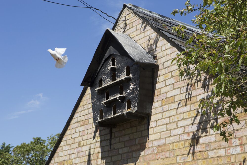 [Dovecote]