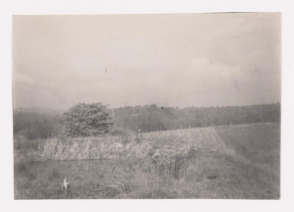 Residence for N. Spiglman