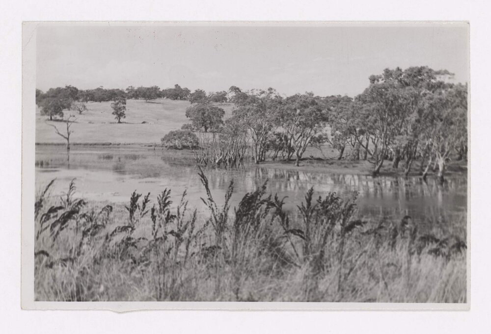 Residence for Lady Pilditch