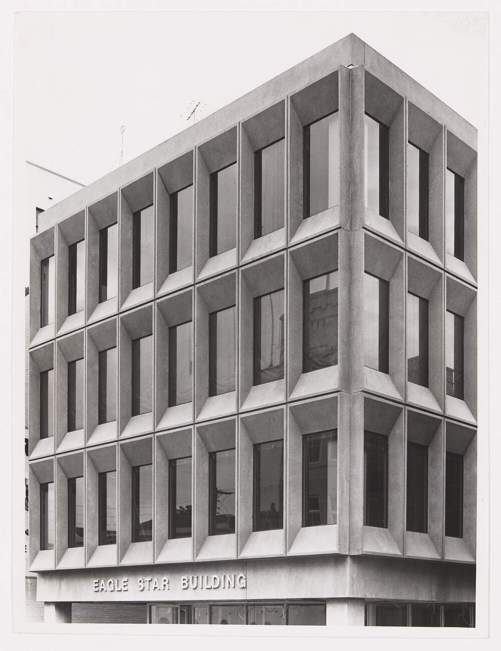 Eagle-Star, Newcastle
