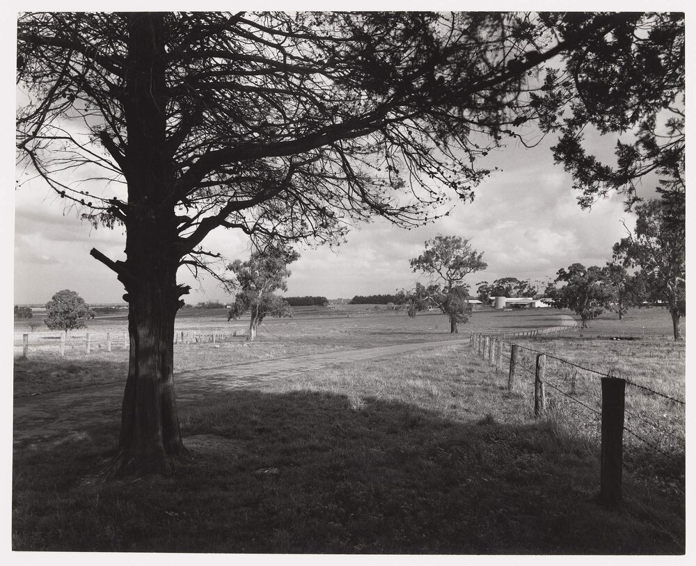 Latrobe University site photos