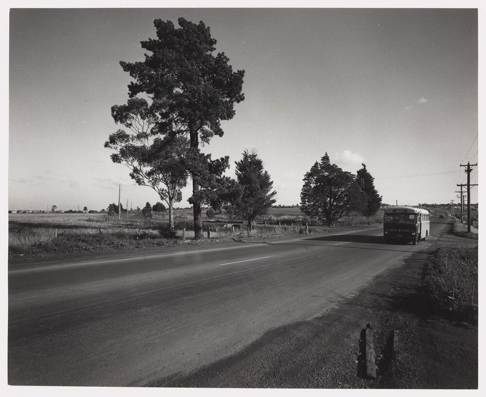 Latrobe University site photos