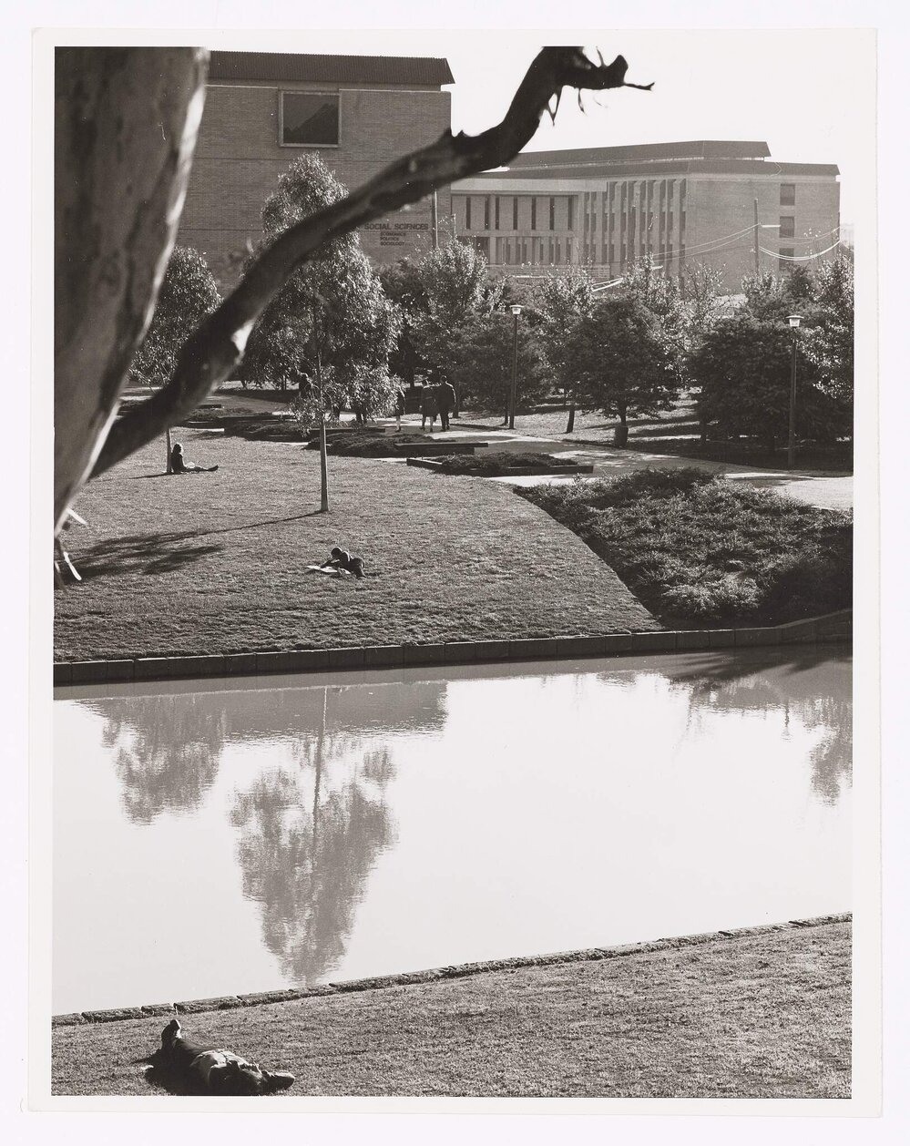 Latrobe University model &amp; landscapes