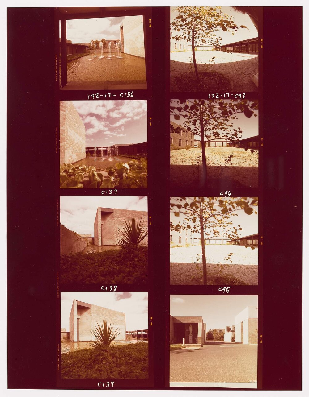 Corpus Christi College