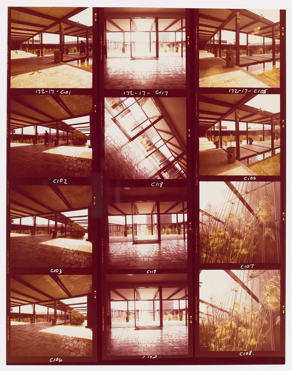 Corpus Christi College