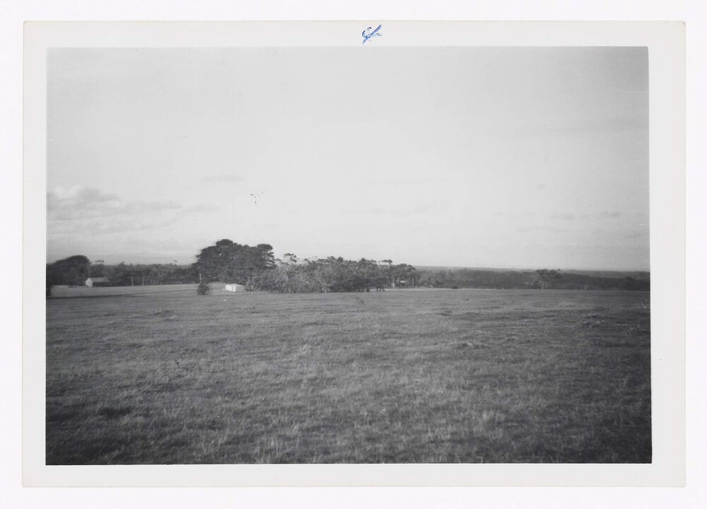 Residence for Mrs Scott Frankston