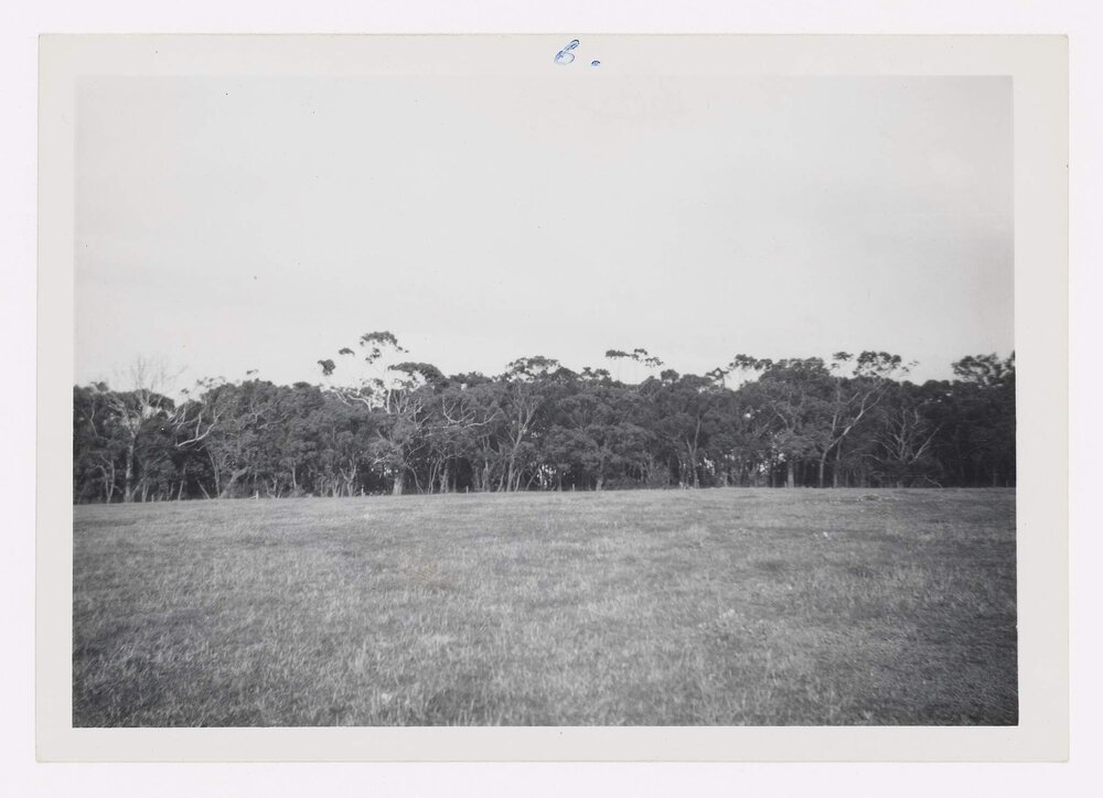 Residence for Mrs Scott Frankston