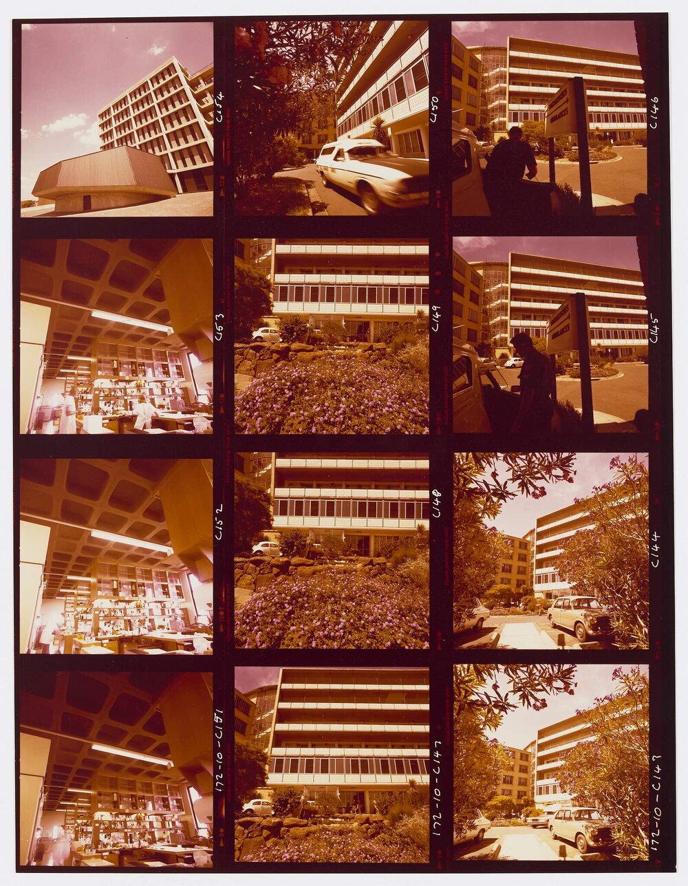 Austin Hospital - University Development Site Clearance