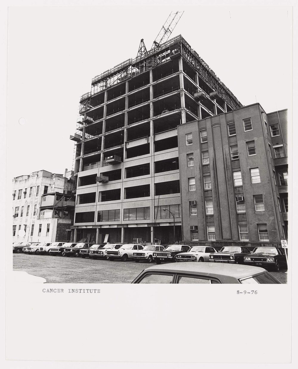 The Cancer Institute