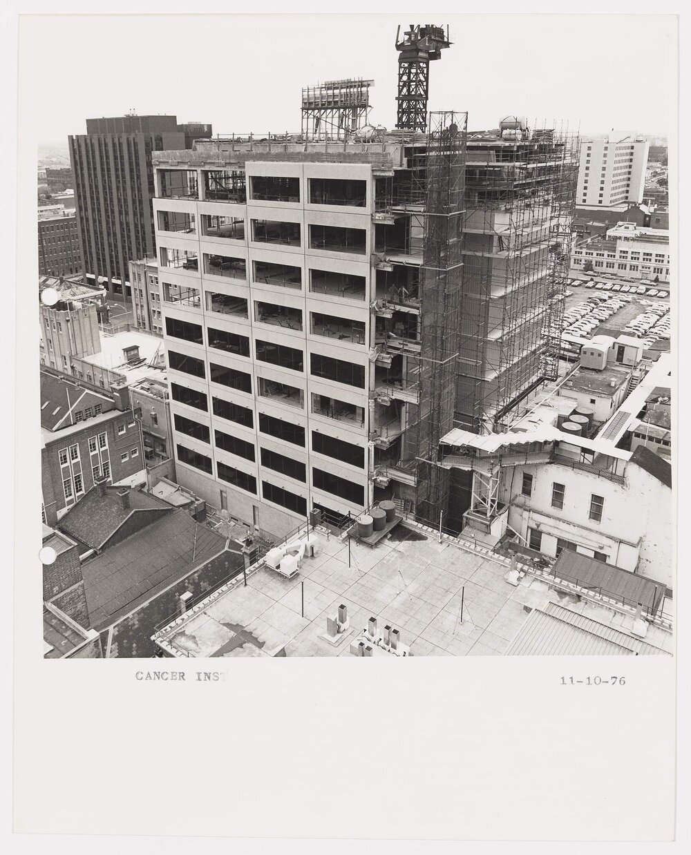 The Cancer Institute