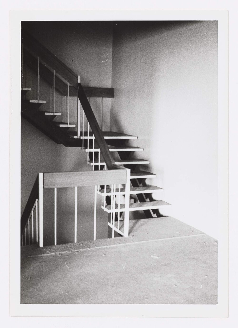 The Cancer Institute