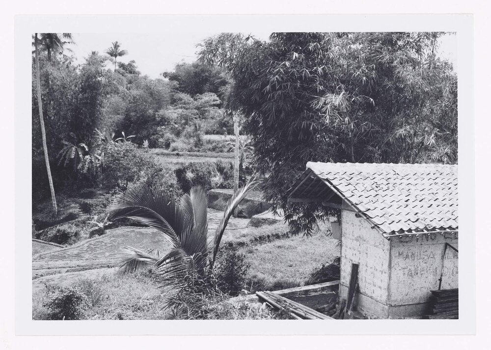 Bogor