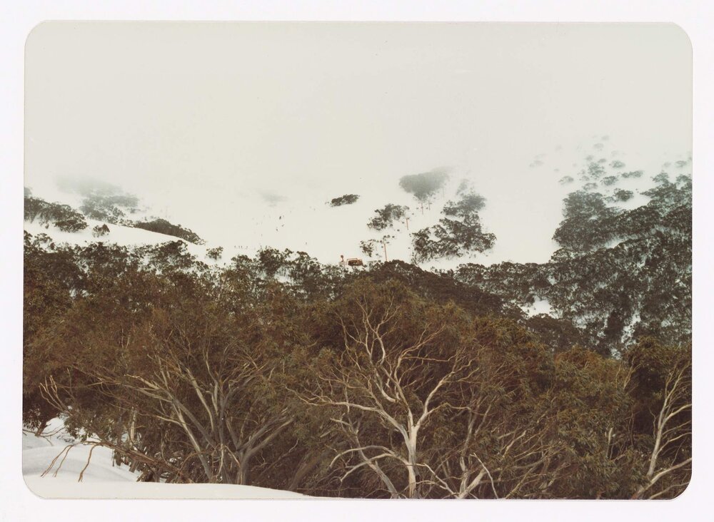 Mt. Buller (Ski Lifts Pty. Ltd.)