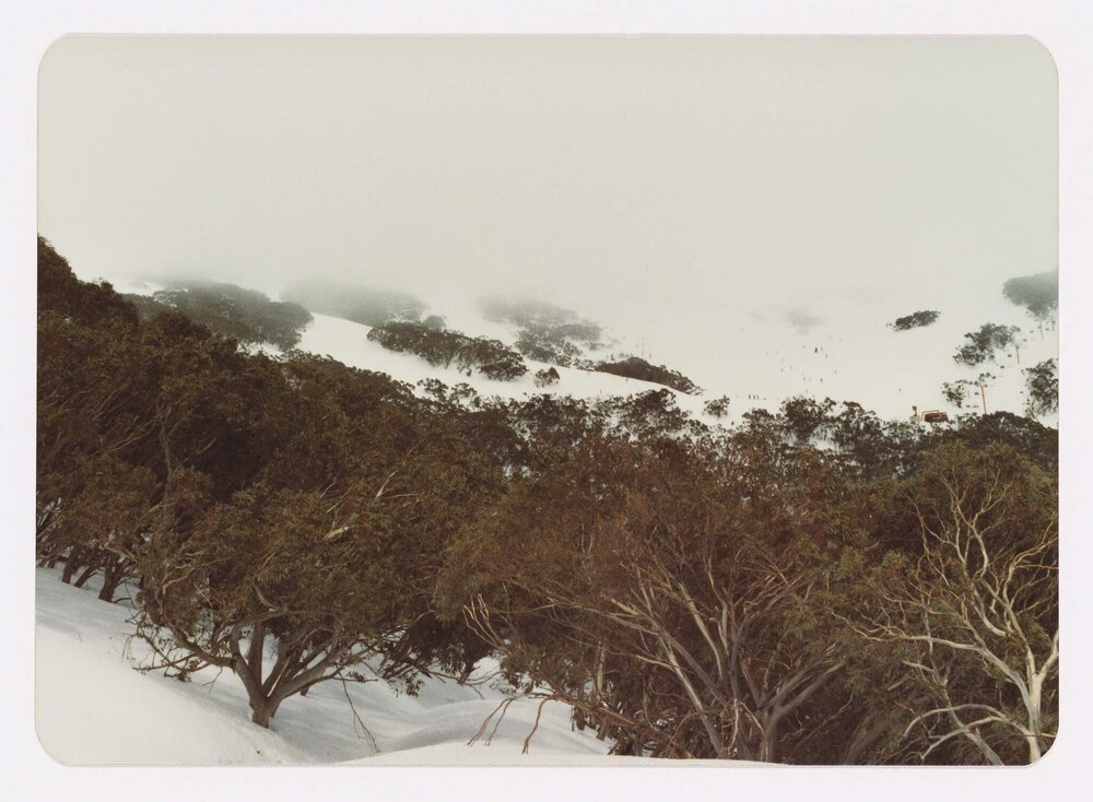 Mt. Buller (Ski Lifts Pty. Ltd.)