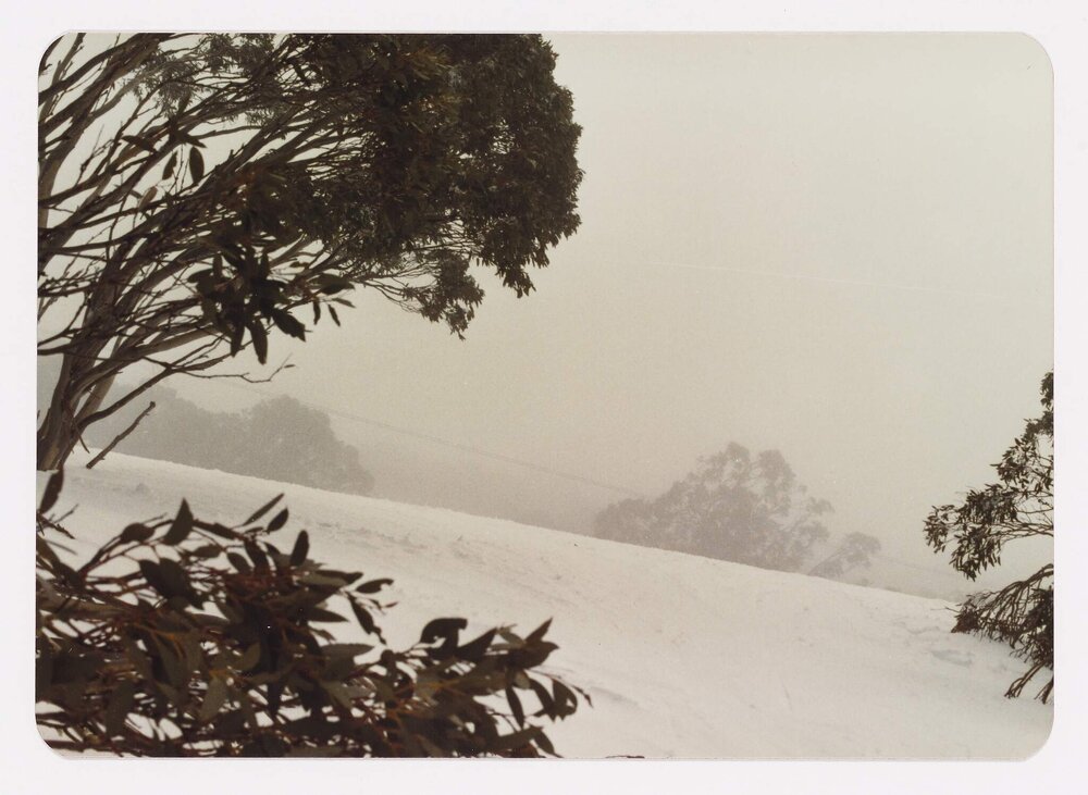 Mt. Buller (Ski Lifts Pty. Ltd.)