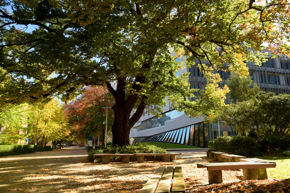 Parkville during COVID lockdown - Seating on Masson Rd looking towards south east corner of Glyn Davis Building