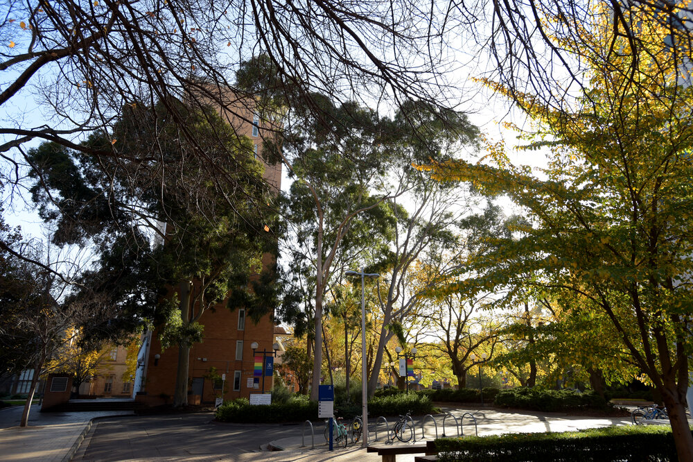 Parkville during COVID lockdown - Masson Rd looking west towards Raymond Priestley Building