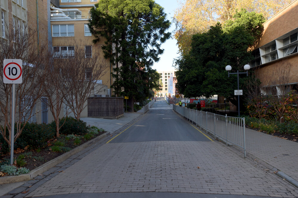 Parkville during COVID lockdown - Looking east along Monash Rd from Wilson Hall towards Swanston St