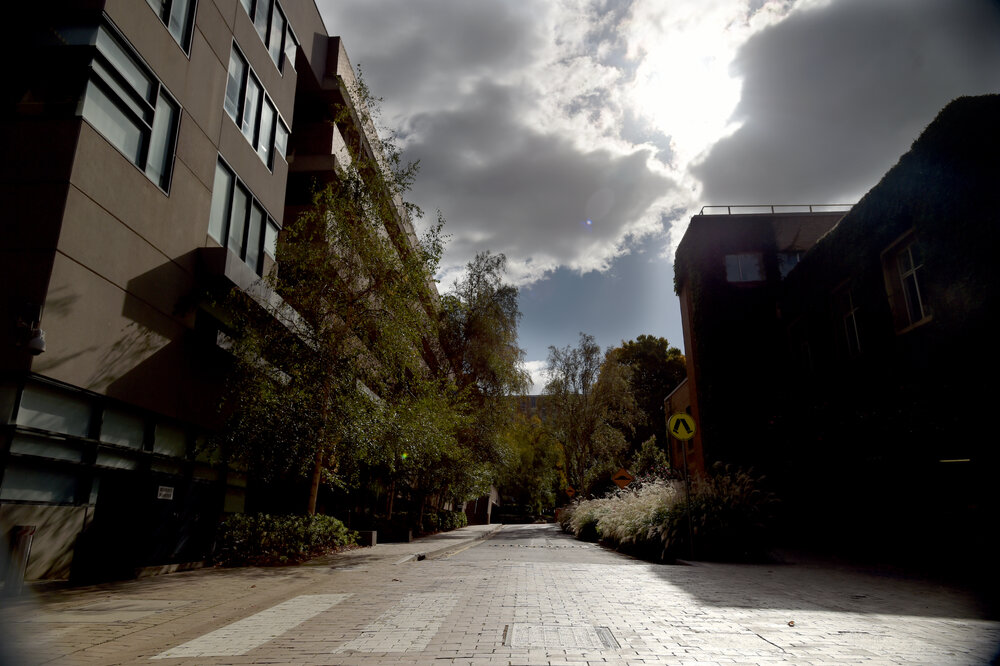 Parkville during COVID lockdown - Looking north along Wilson Avenue