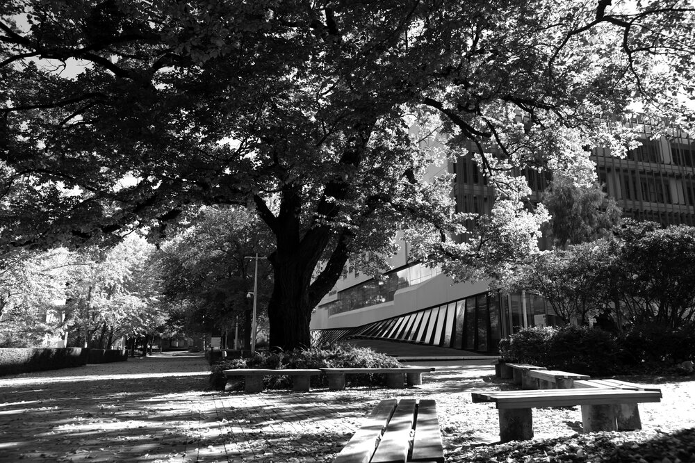 Parkville during COVID lockdown - Seating on Masson Rd looking towards south east corner of Glyn Davis Building - Monochrome