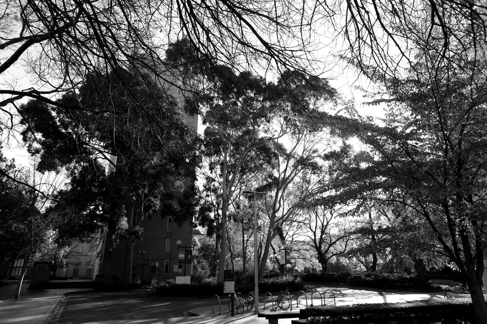 Parkville during COVID lockdown - Masson Rd looking west towards Raymond Priestley Building - Monochrome