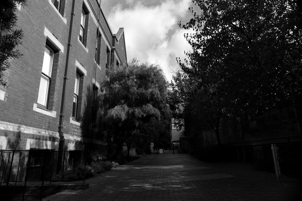 Parkville during COVID lockdown - Engineering Lane looking west - Monochrome