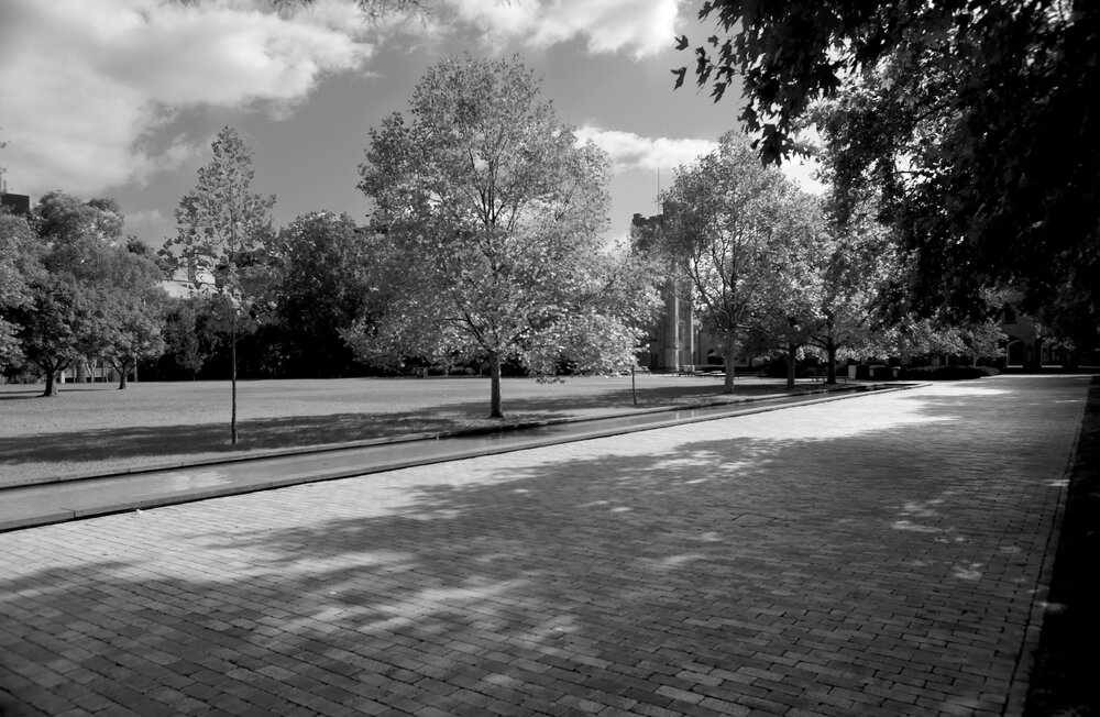Parkville during COVID lockdown - Southlawn empty walkway looking north - Monochrome