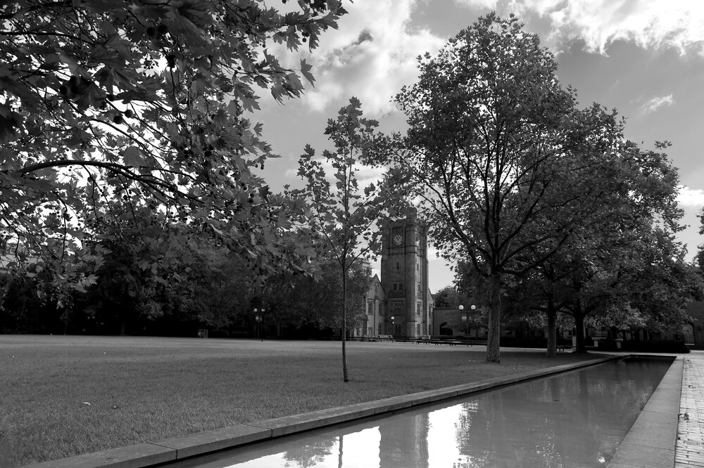 Parkville during COVID lockdown - Reflection Pond on South Lawn with Clocktower - Monochrome
