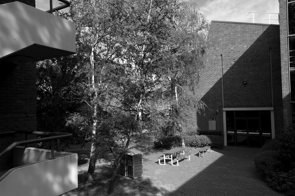 Southbank Campus during COVID lockdown - Friends Courtyard photographed from St Kilda Rd - Performing Arts Dance Studios in background - Monochrome