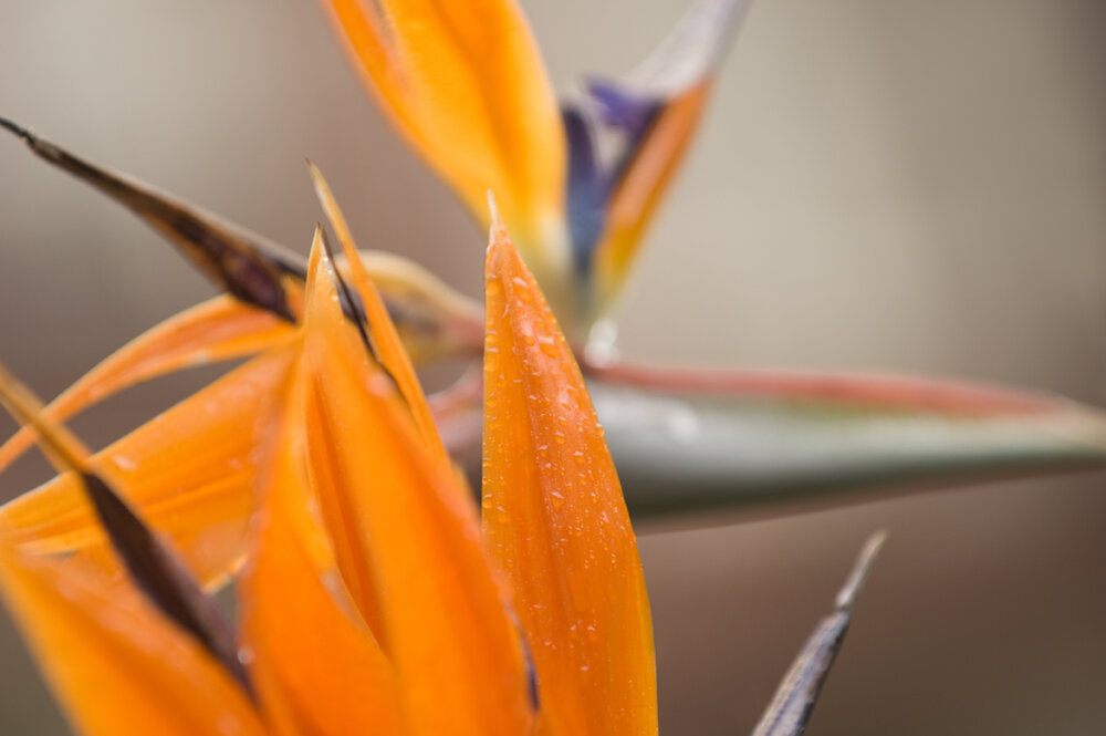 STOC_0023