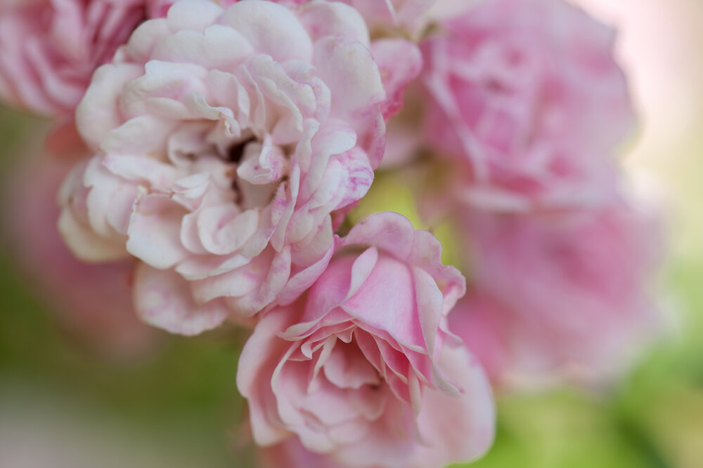 STOC_0027
