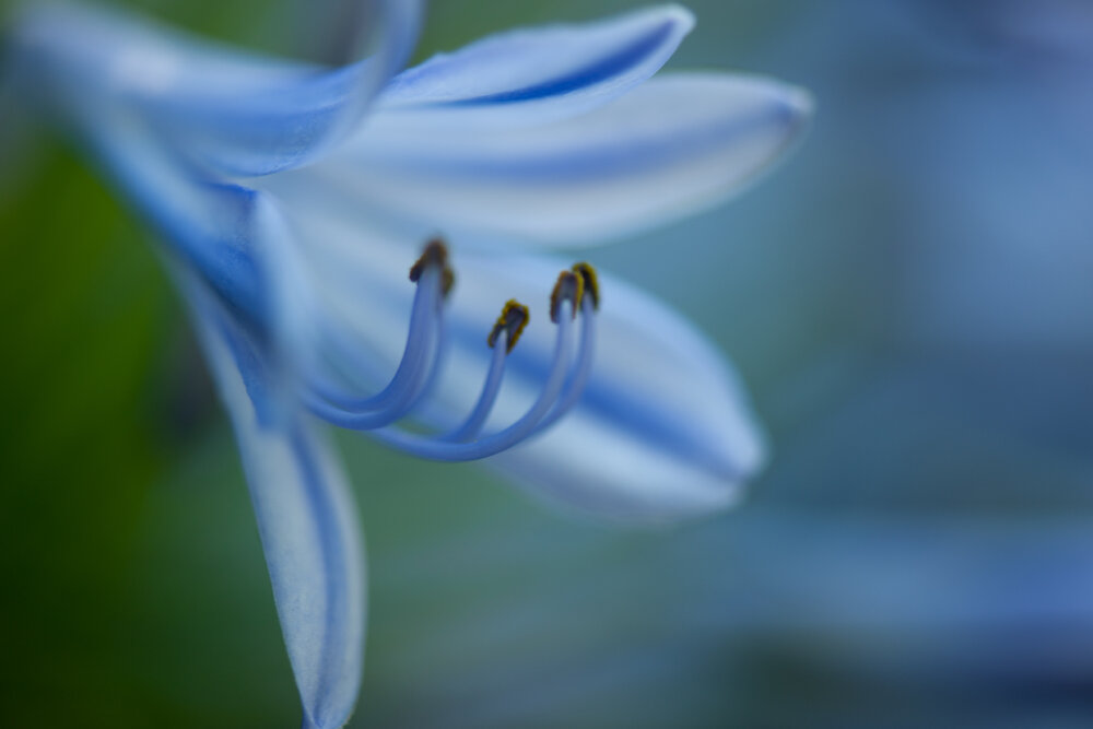 STOC_0073