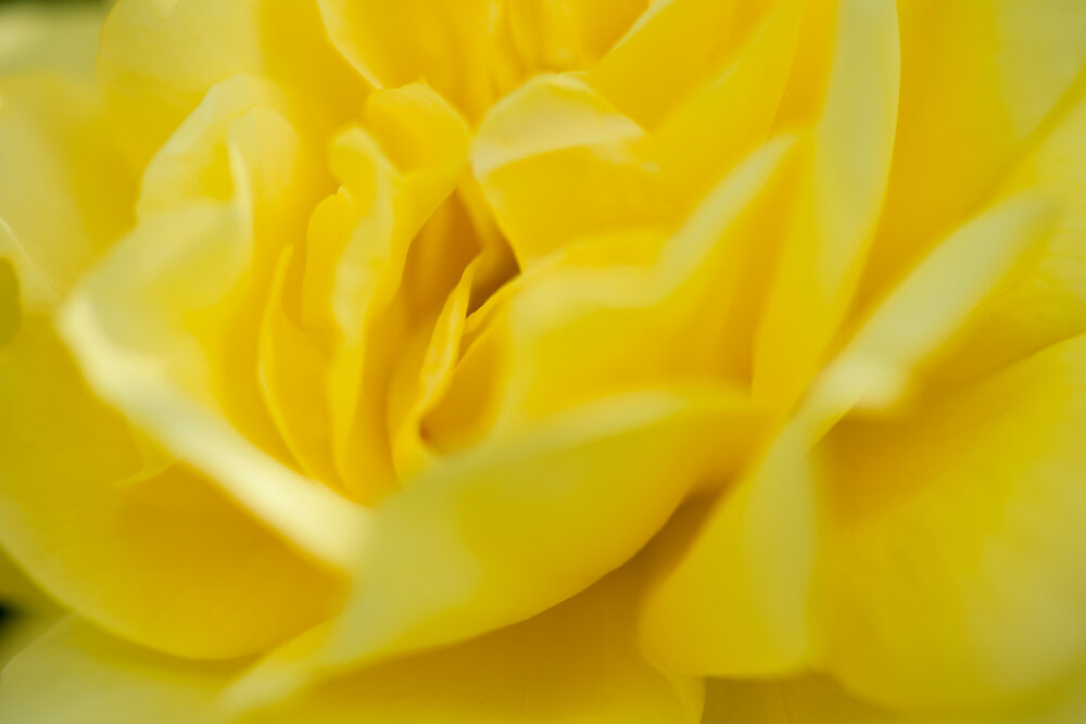 STOC_0076