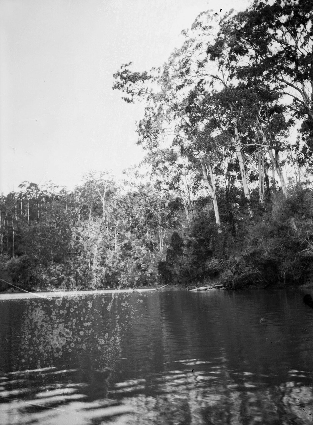 Lake Tyers, the Gippsland Lakes, Victoria