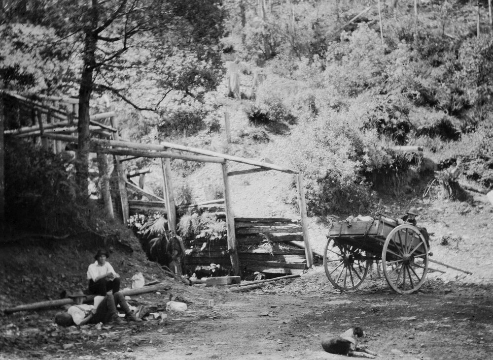 New Chum Spring, Australian Alps, Victoria