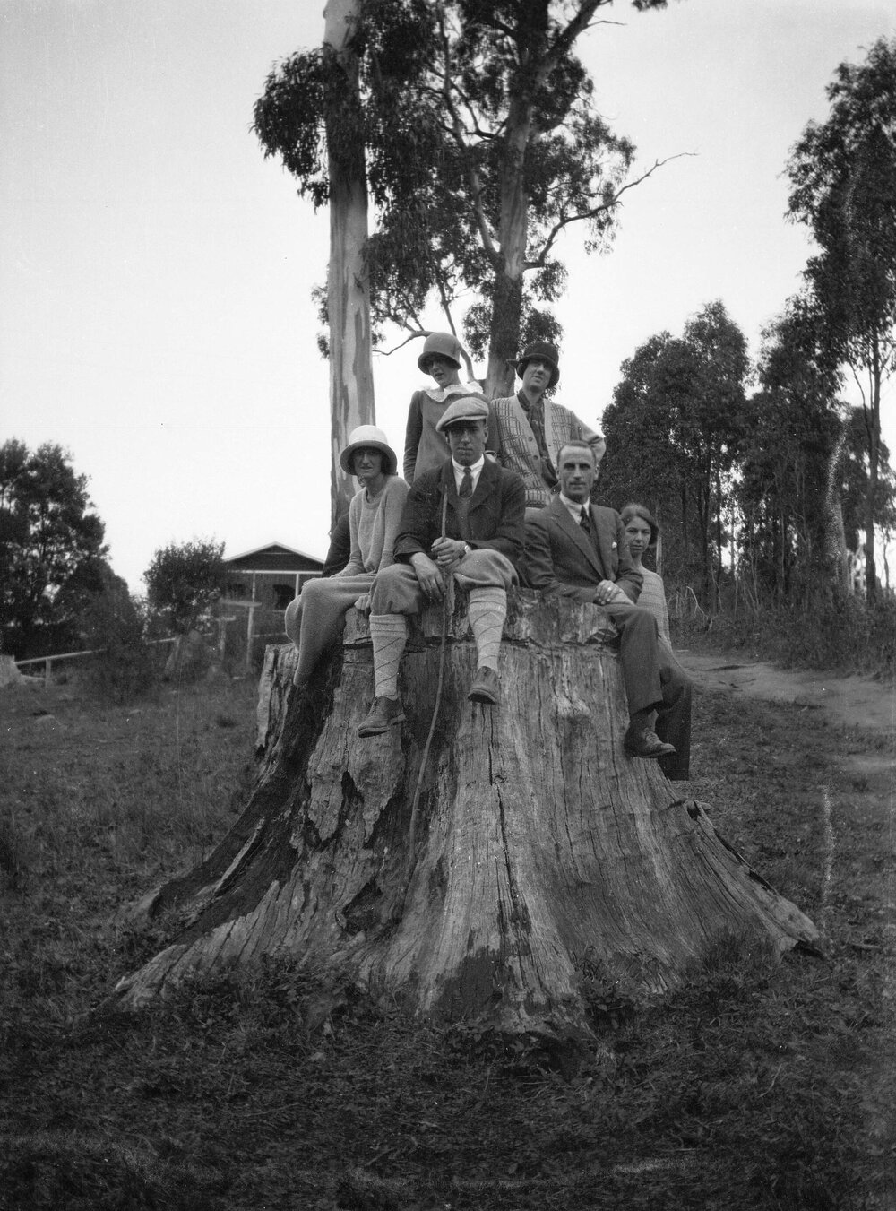 Group of men &amp; women on a large tree stump at Belgrave, Victoria (Seated: Phyllis Berry, Mal, George Pearce, Dorothy Berry