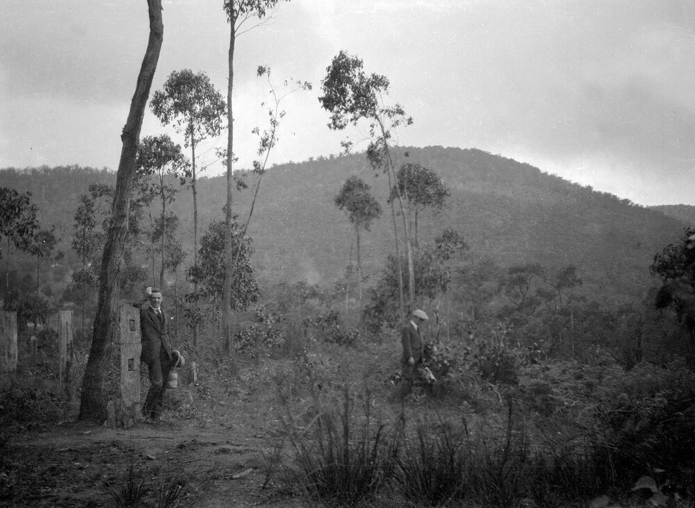 Mount Dandenong from Croydon road near Montrose, Victoria (Allan Henderson, Terence Crisp)