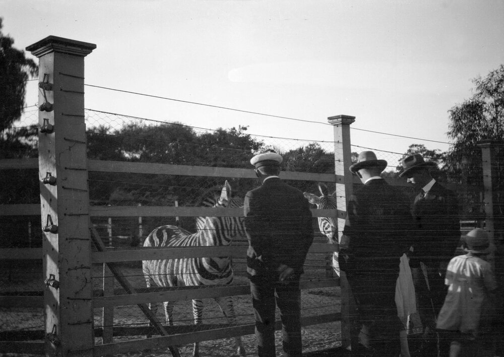 A group of people at the Zoological Gardens, possibly in Melbourne