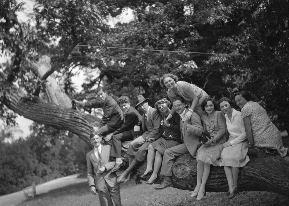 An unidentified group of people posed along the branch of a large tree in or near Vienna, Austria