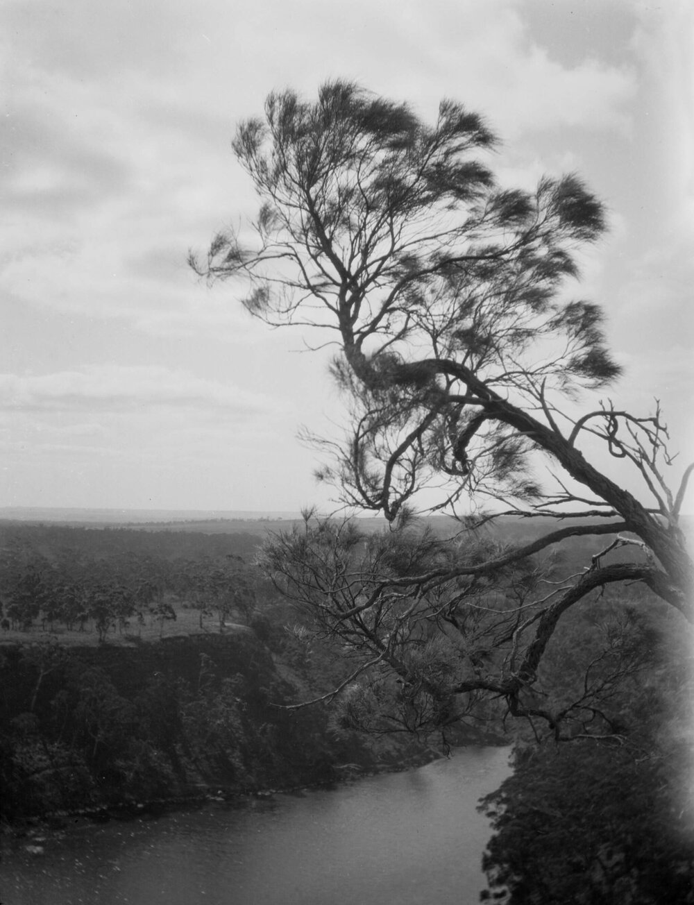Lake (volcanic) near Hamilton [Victoria] Jan 1930