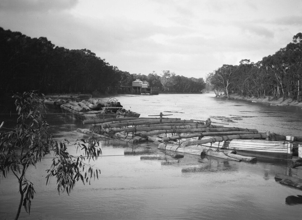Log barges on the Murray River at Echuca (Northern Victoria]